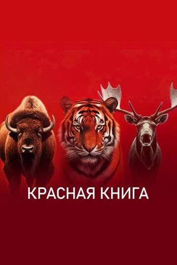 Красная книга смотреть онлайн 1 сезон